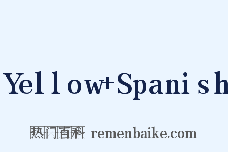 Yellow Spanish是什么意思的图片